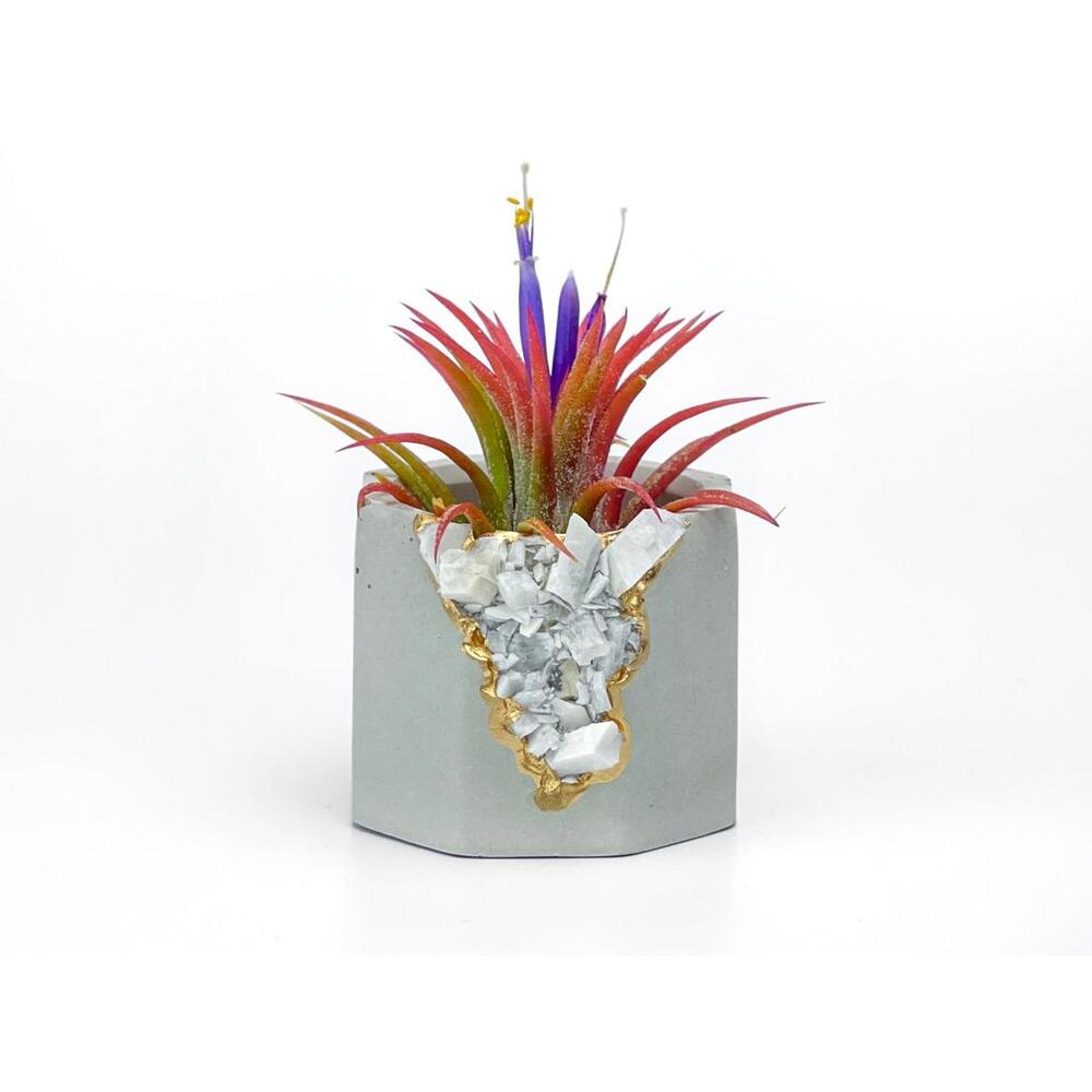 Moonstone Crystal Planter air plant holder for yoga